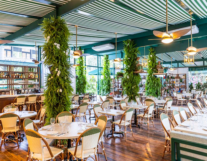 L'exposition des Deux Magots pour fêter ses 140 ans